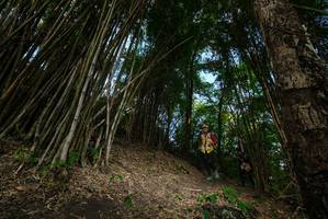 BIB: 
                            <button type="button" onclick="openModal(19396179)" class="btn btn-primary btn-sm float-right btn-popup" data-toggle="modal" data-target=".modal-high-quality">
                        <i class="fas fa-shopping-cart"></i> Add to Cart
                    </button>
                                            <button type="button" onclick="isThisMe(19396179, true)" class="btn btn-success btn-sm float-right btn-popup btn-isme hidden" data-toggle="tooltip" data-placement="bottom" title="นี่คือรูปของคุณใช่ไหม คลิกที่นี่เพื่อเอาเข้าอัลบั้ม">
                        <i class="fas fa-plus"></i> Add to album
                    </button>
                    <button type="button" onclick="isThisMe(19396179, false)" class="btn btn-warning btn-sm float-right btn-popup btn-isnotme hidden">
                        <i class="fas fa-ban"></i> Remove from album
                    </button>